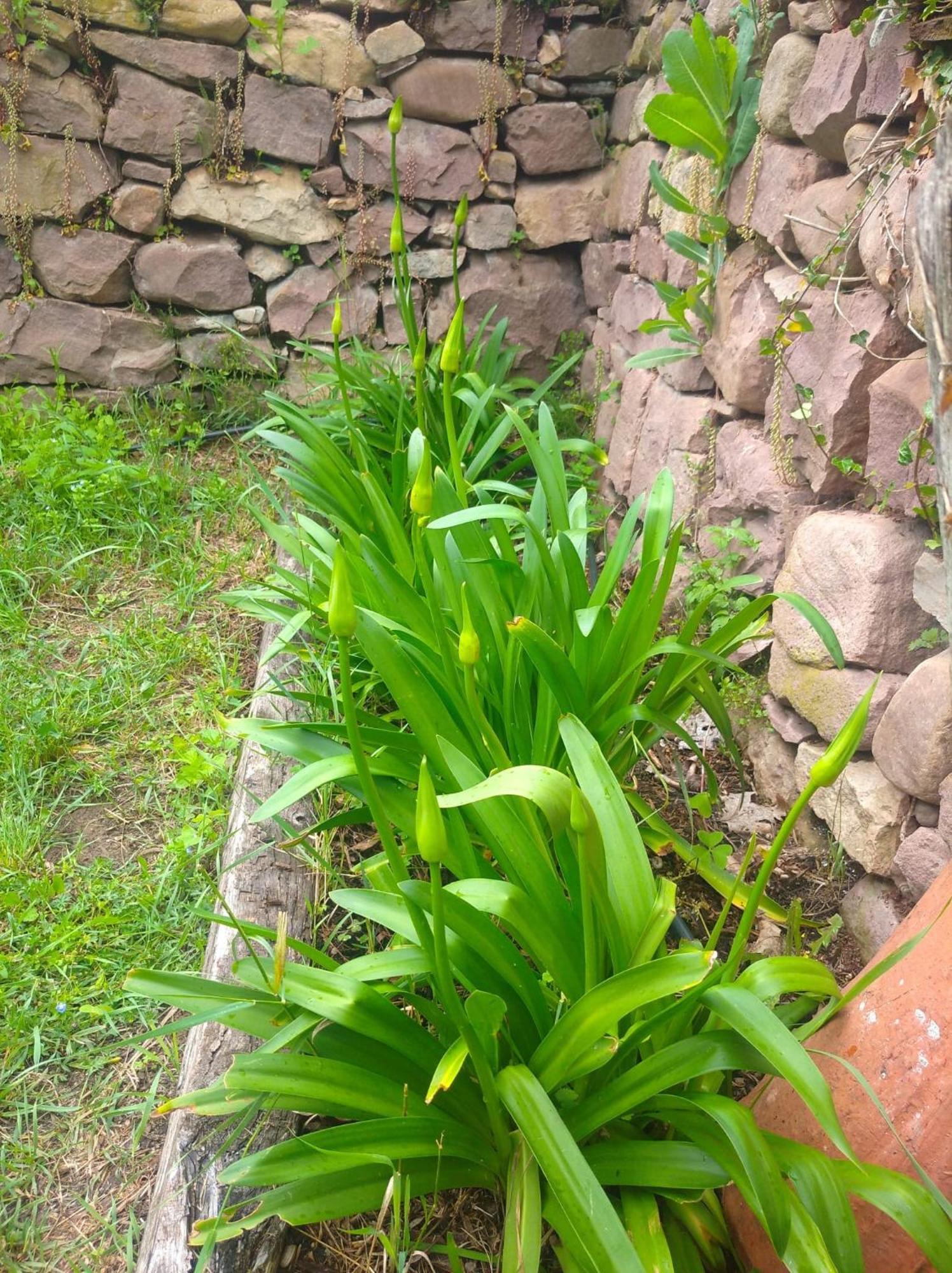 Bed and Breakfast Venta De Arrieta Saragueta Exterior foto